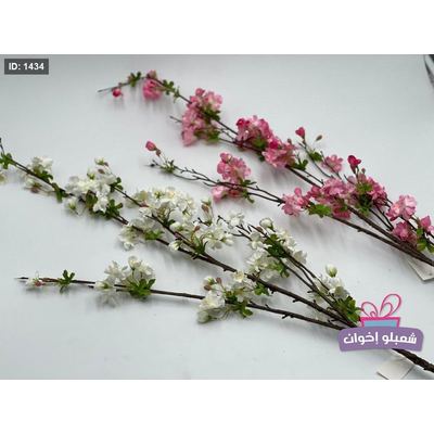 ازهار الكرز-الساكورا