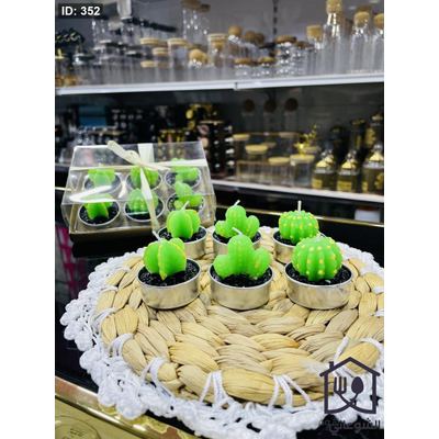 طقم 6 شمعات صبار صغير