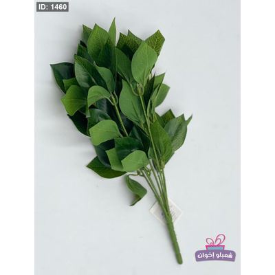 عرق اخضر 12 حبه