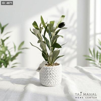 شجرة زيتون اصطناعية صغيرة