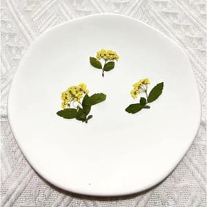 كرت ورد مجفف مضغوط – زهرة النرجس – اصفر