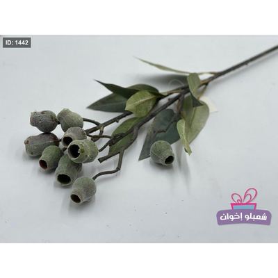 عرق اخضر
