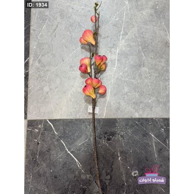 عرق تين