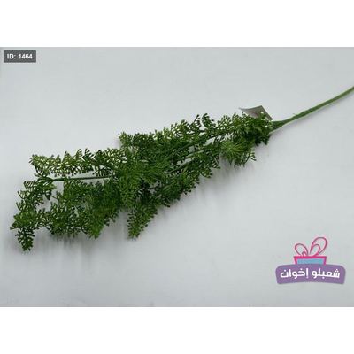 عرق اخضر