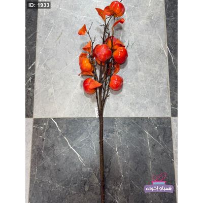 عروق فواكه