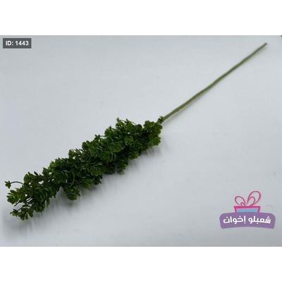 عرق اخضر