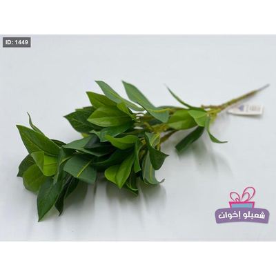 عرق اخضر