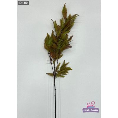 عرق