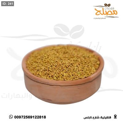 حلبة