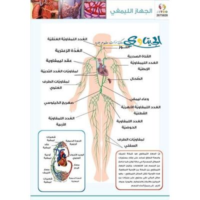 لوحة جلد تعليمية