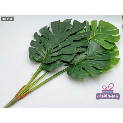 عروق خضار كبيره