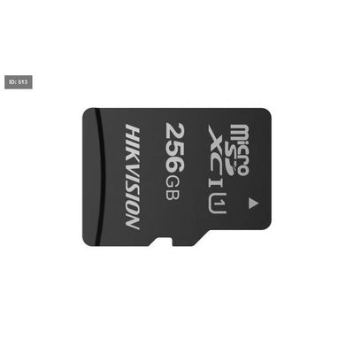 HS-TF-C1/256G MICRO SD CARD