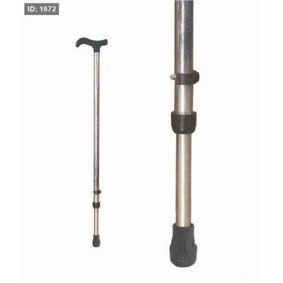 Walking Stick - Silver- U OC2017