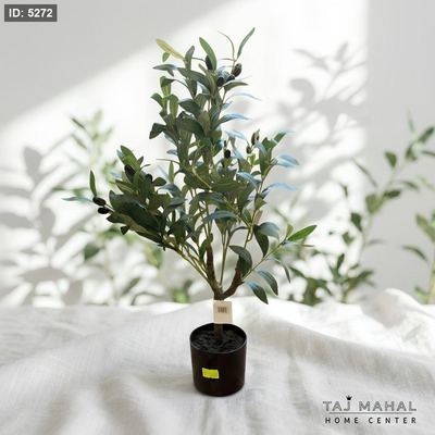 شجرة زيتون صناعية في وعاء بلاستيكي أسود