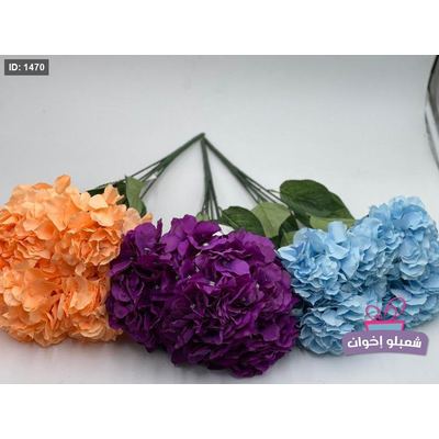 قرطاسيه حجم كبير 6 عروق