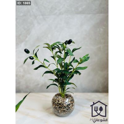 قوار ورد شفاف زيتون 35 CM