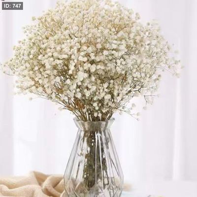 ورد طبيعي مجفف Baby Flower