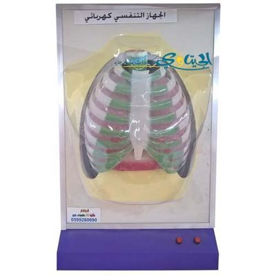 مجسم جهاز التنفس كهربائي