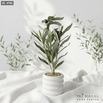 شجرة زيتون اصطناعية صغيرة