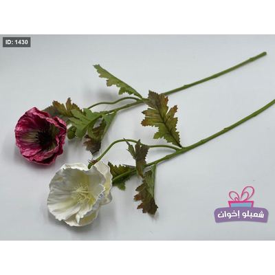 زهرة الخشخاش حجم كبير
