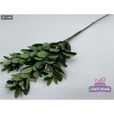 غصن شجره
