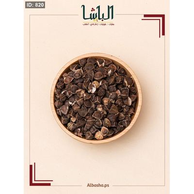 بذور مورينجا