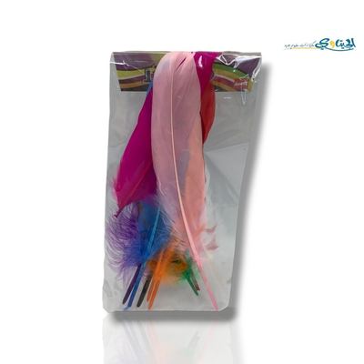 ريش حمام ملون