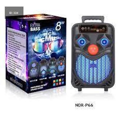 Speaker Bluetooth NDR-P66