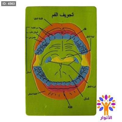 بازل اسفنجي - تجويف الفم