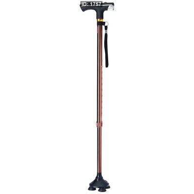 Flamingo Classic Walking Stick with Torch OC2381