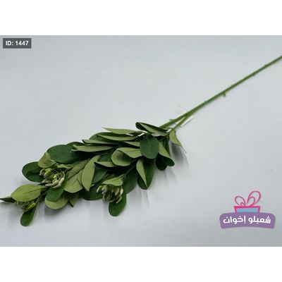 غصن شجره