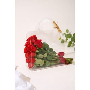 شنطة اكريلك شفافة – 5 قطع