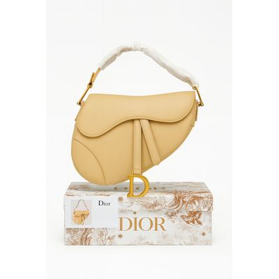 حقيبة Saddle المميزة من Dior