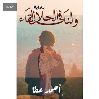 رواية ولنا في الحلال لقاء