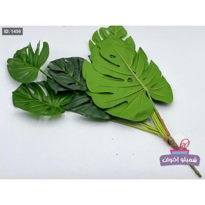 عروق خضار كبيره