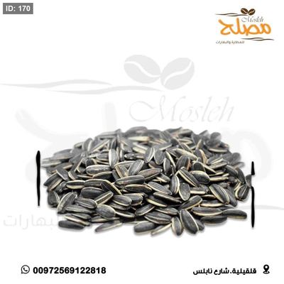 بزر شمس ني