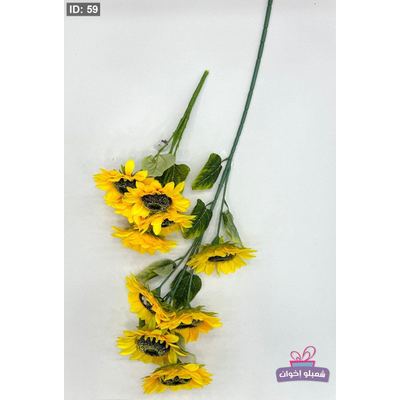 عباد الشمس