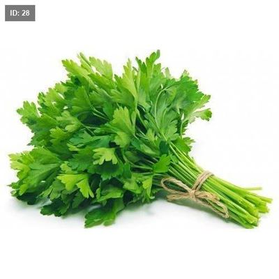بقدونس