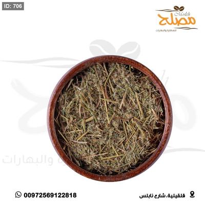عشبة الشيح