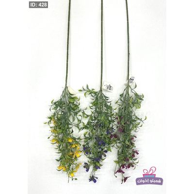 عروق خضار