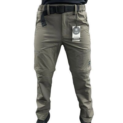 Redback 2459 olive Brown