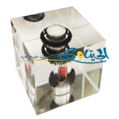 مكعب المجال المغناطيسي شفاف
