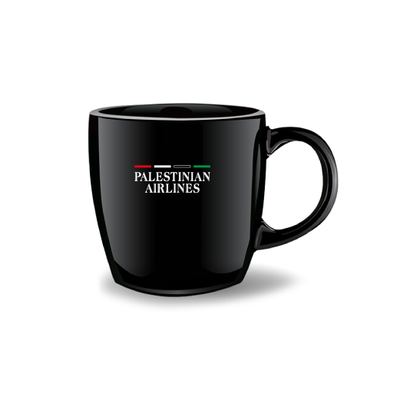 كاسة - Palestinian airlines