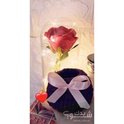 خياطة — ساجدة شريتح