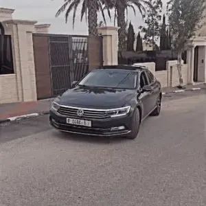 فولكسفاغن باسات 2015
