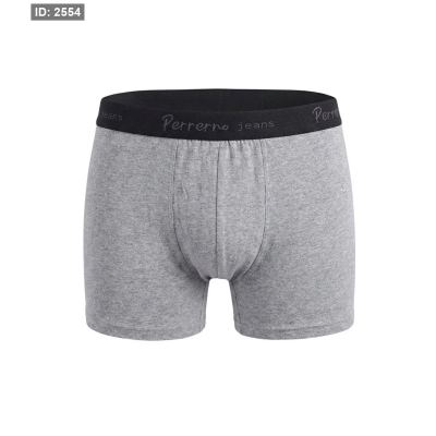 Boxer perrerno