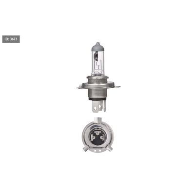 HS1 12V 35W