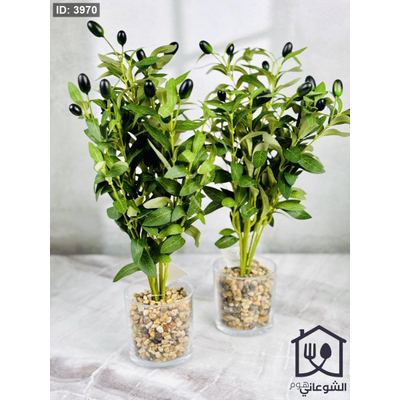 قوار زيتون شفاف 45CM