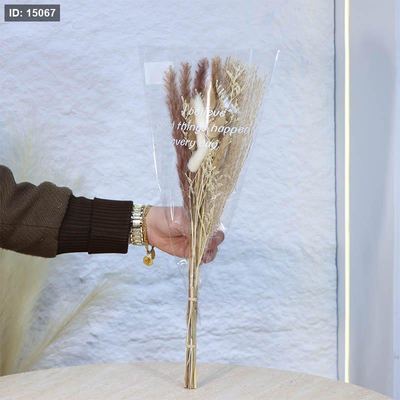ضمة ريش ملون تغليف سلوفان A30/3 =ع3