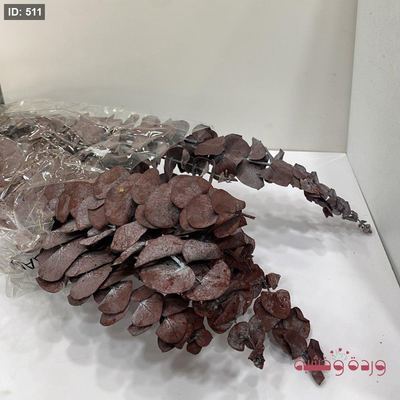 زعتر طبيعي مجفف